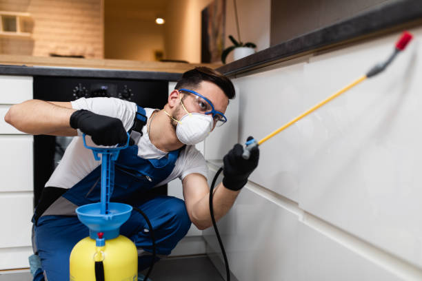 Best Ant Control Services  in Skiato, OK