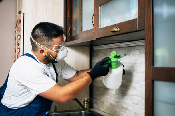 Best Pest Inspection Near Me  in Skiato, OK