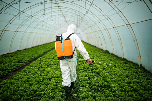 Best Pest Control for Homes  in Skiato, OK