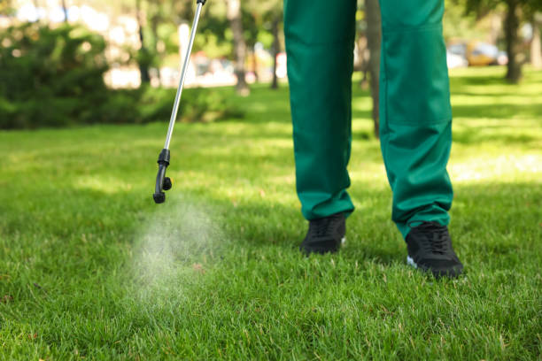 Best Pest Control for Restaurants  in Skiato, OK