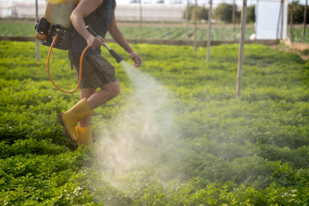 Best Exterminator Services  in Skiato, OK