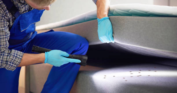 Best Residential Pest Control  in Skiato, OK